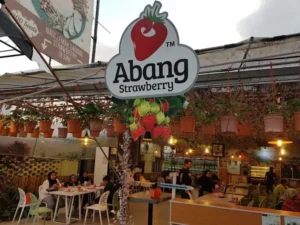 Nasi Lemak Cameron Highland