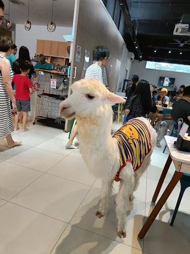 Furrito Haus Cafe Pet Mart Kafe - 22 Kedai Sarapan Pagi di Seri Kembangan Wajib Masuk List Furrito Haus Cafe Pet Mart Kafe - 22 Kedai Sarapan Pagi di Seri Kembangan Wajib Masuk List