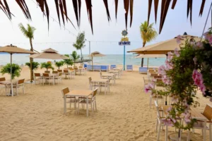 Makan Tengahari Batu Ferringhi