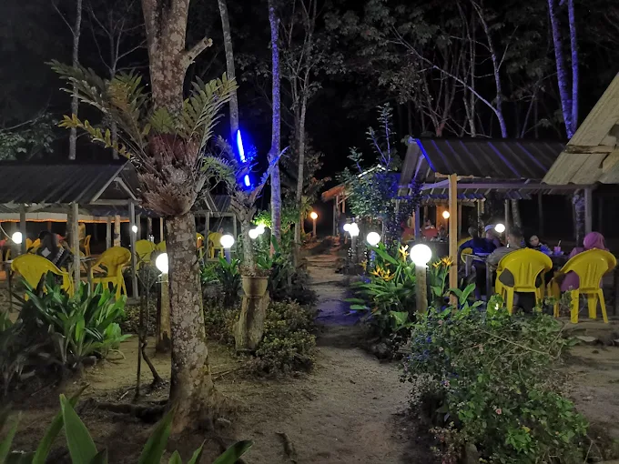Kedai Makan Pokok Getah - 15 Kedai Makan Malam Baling | Alamat, Harga & Hidangan Istimewa Kedai Makan Pokok Getah