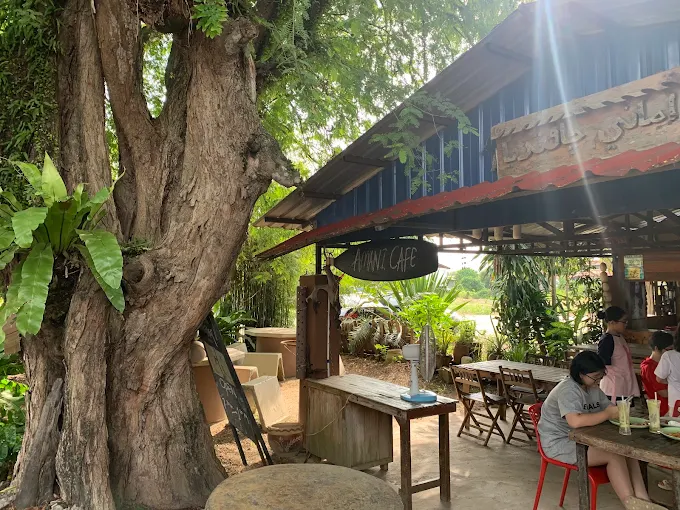 Amani Cafe - 13 Kedai Sarapan Pagi Langkawi | Alamat, Harga & Hidangan Istimewa Amani Cafe - 13 Kedai Sarapan Pagi Langkawi | Alamat, Harga & Hidangan Istimewa
