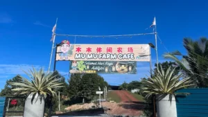 Makan Tengahari Simpang Renggam