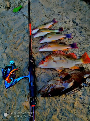 Darat Pak Chan - 14 Destinasi Sarapan Pagi Marang Digemari Pengunjung Dengan Sajian Pagi Tradisi Darat Pak Chan