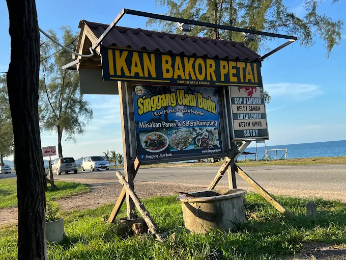 Singgang Ulam Budu - 11 Lokasi Makan Tengahari Kuala Dungun Dengan Pilihan Menu Tengah Hari Mengenyangkan Singgang Ulam Budu